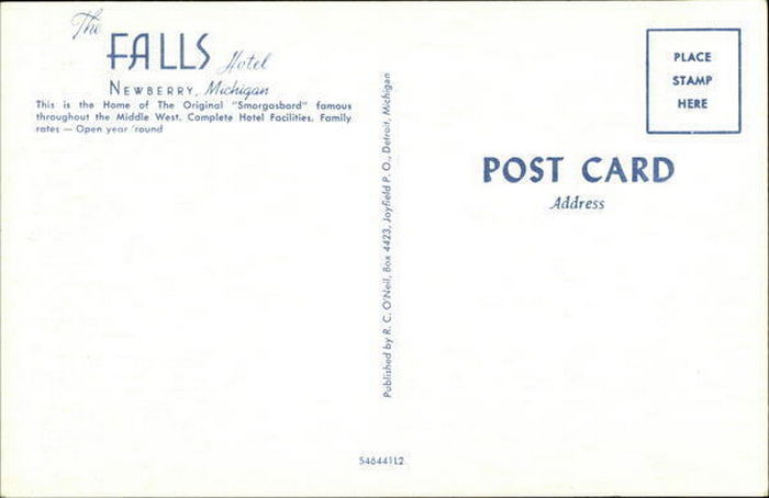 Falls Hotel (Newberry Hotel) - Vintage Postcard
